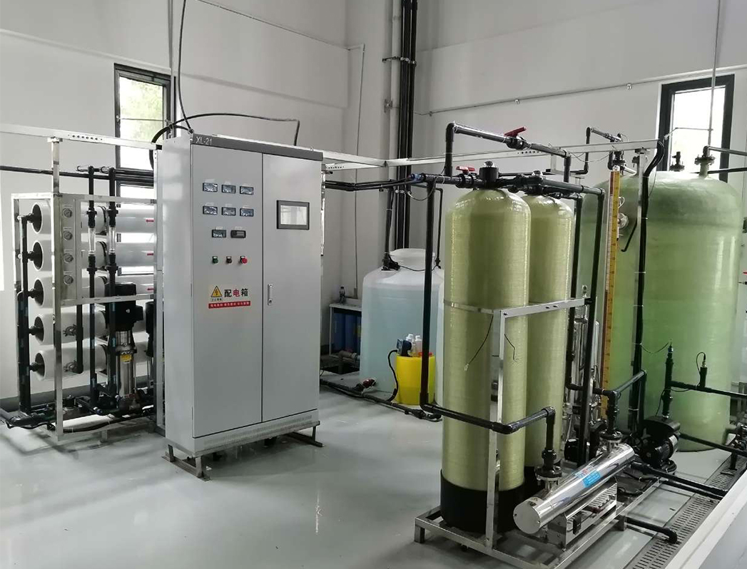 2000L/H dual-stage reverse osmosis pure water equipment