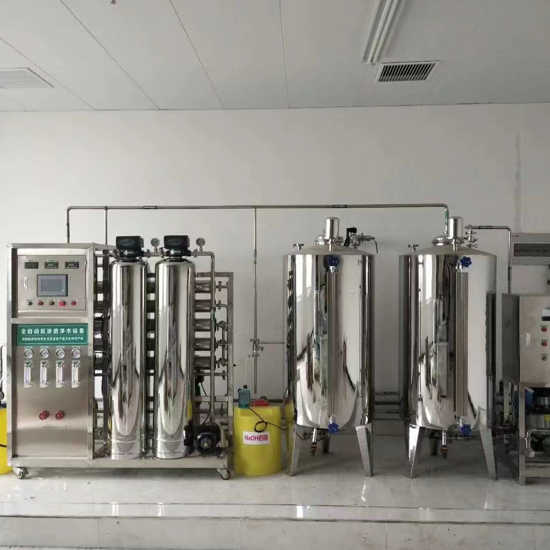 1000L /H Medical Purified Water System 
